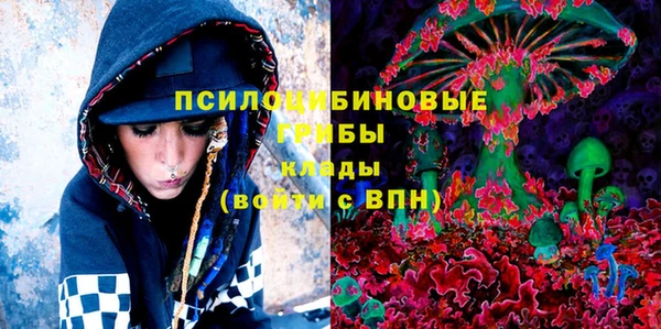 мдпв Лагань